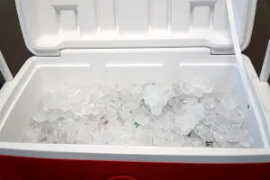 Cooler (with Ice)