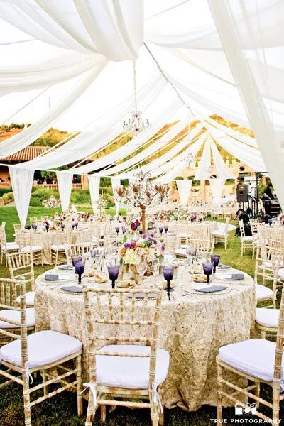 50' Ceiling Drapes/Swag