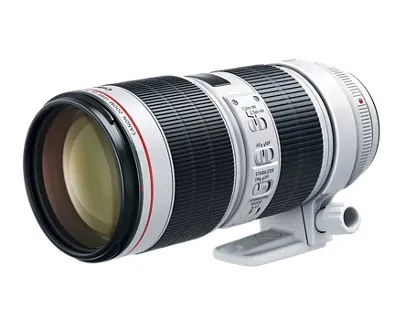 Canon EF 70-200mm Zoom Lens f/2.8