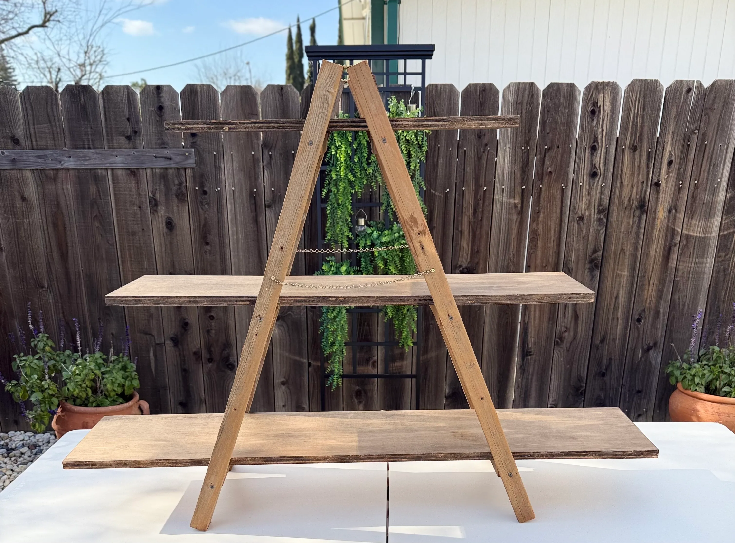 Table Linens & Accessories