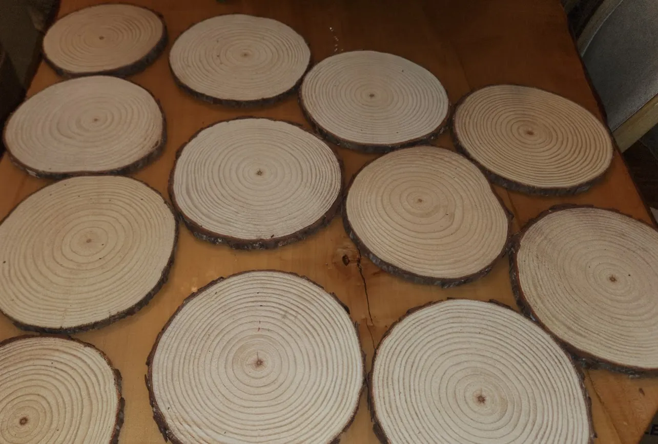 thin wood rounds