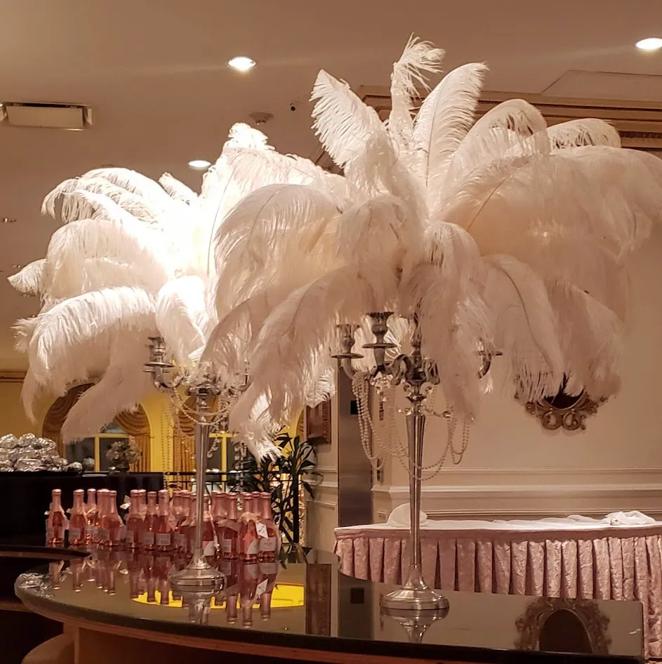 ostrich feather plumes