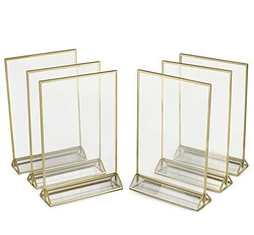 Gold Rim Acrylic Frames