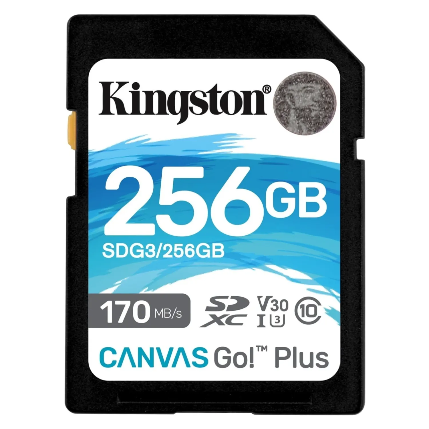Kingstone SDXC 256GB 170 MB/s