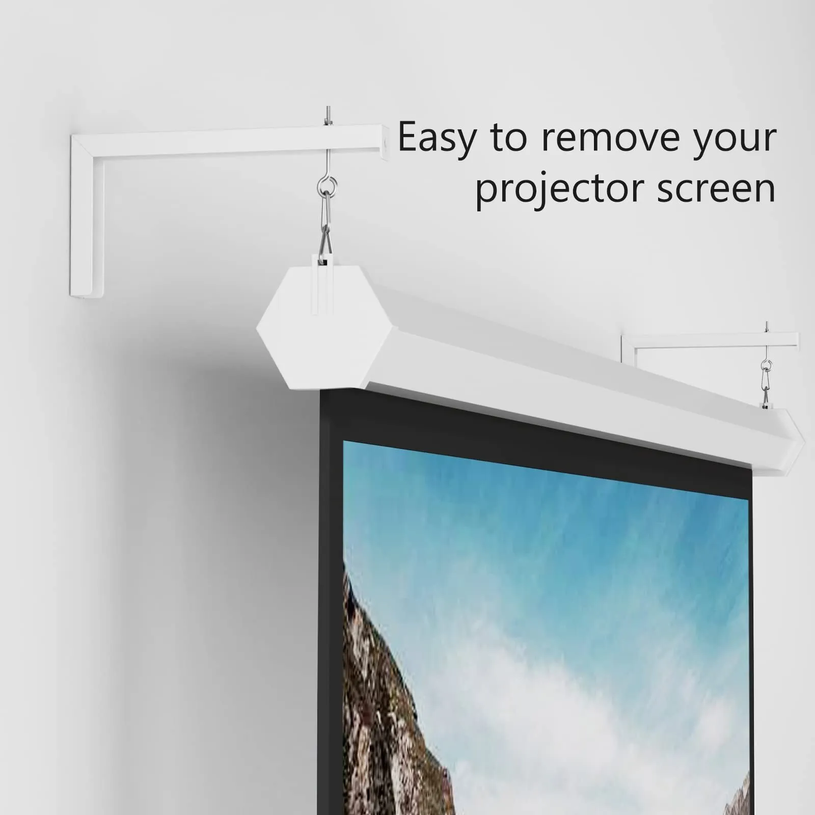 Hanging Projector Screen