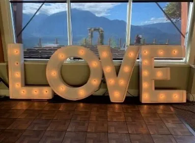 LOVE Light Up Letters