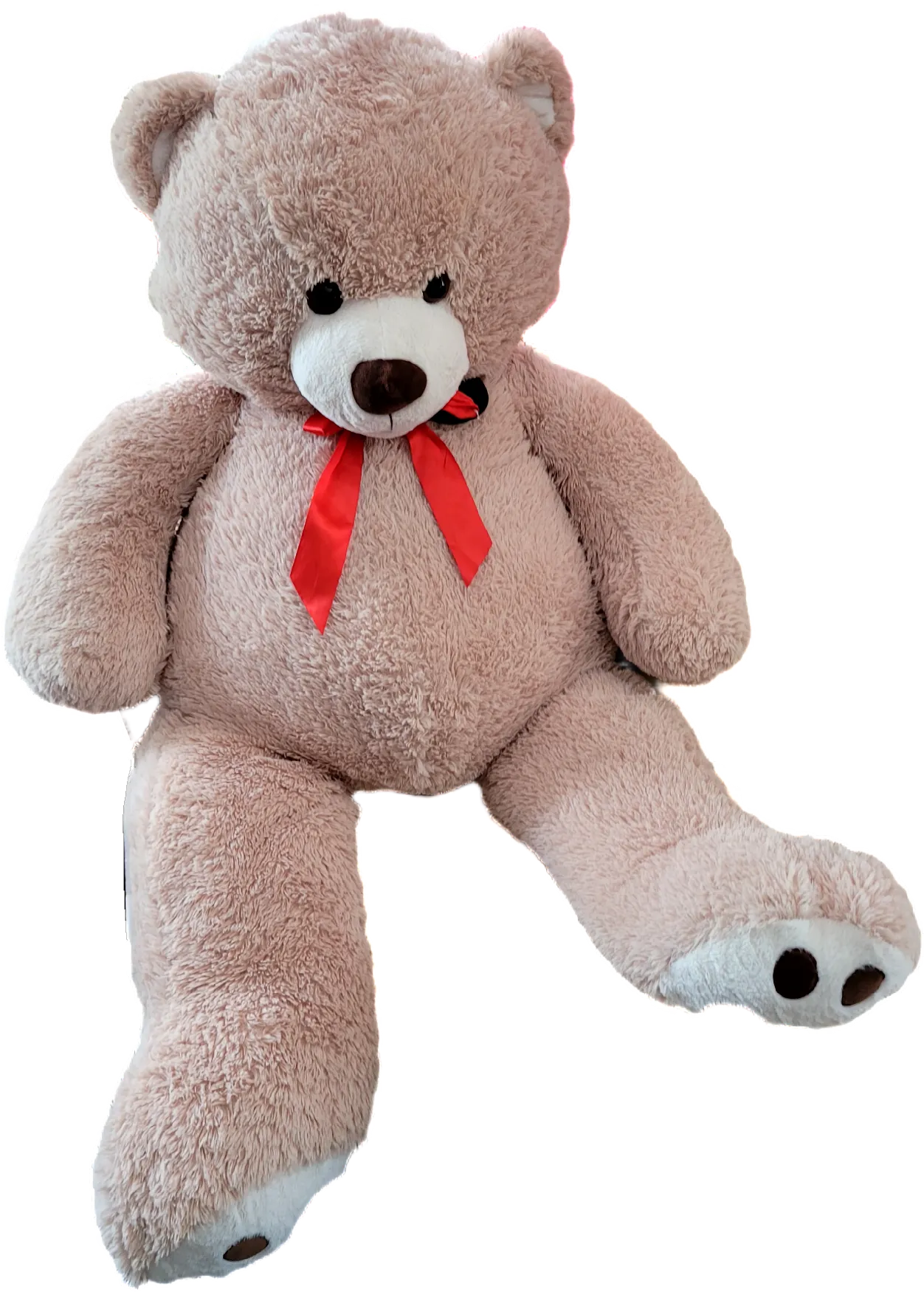 Big Teddy Bear