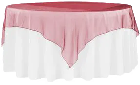 Organza Overlays