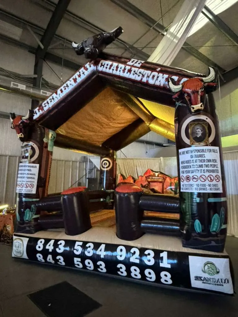 Mechanical Bull