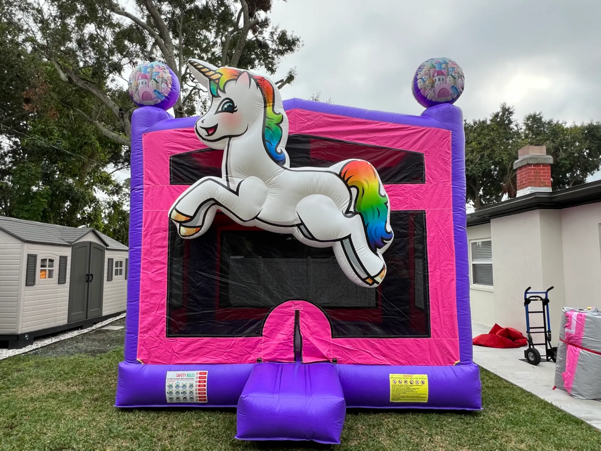 Unicorn With Basketball Hoop 13 x 13