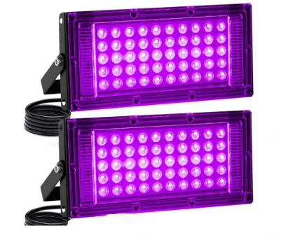 Black Lights