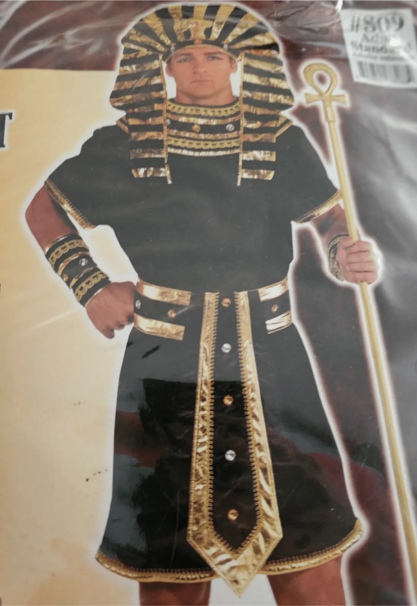 Gold & Black Egyptian Pharaoh