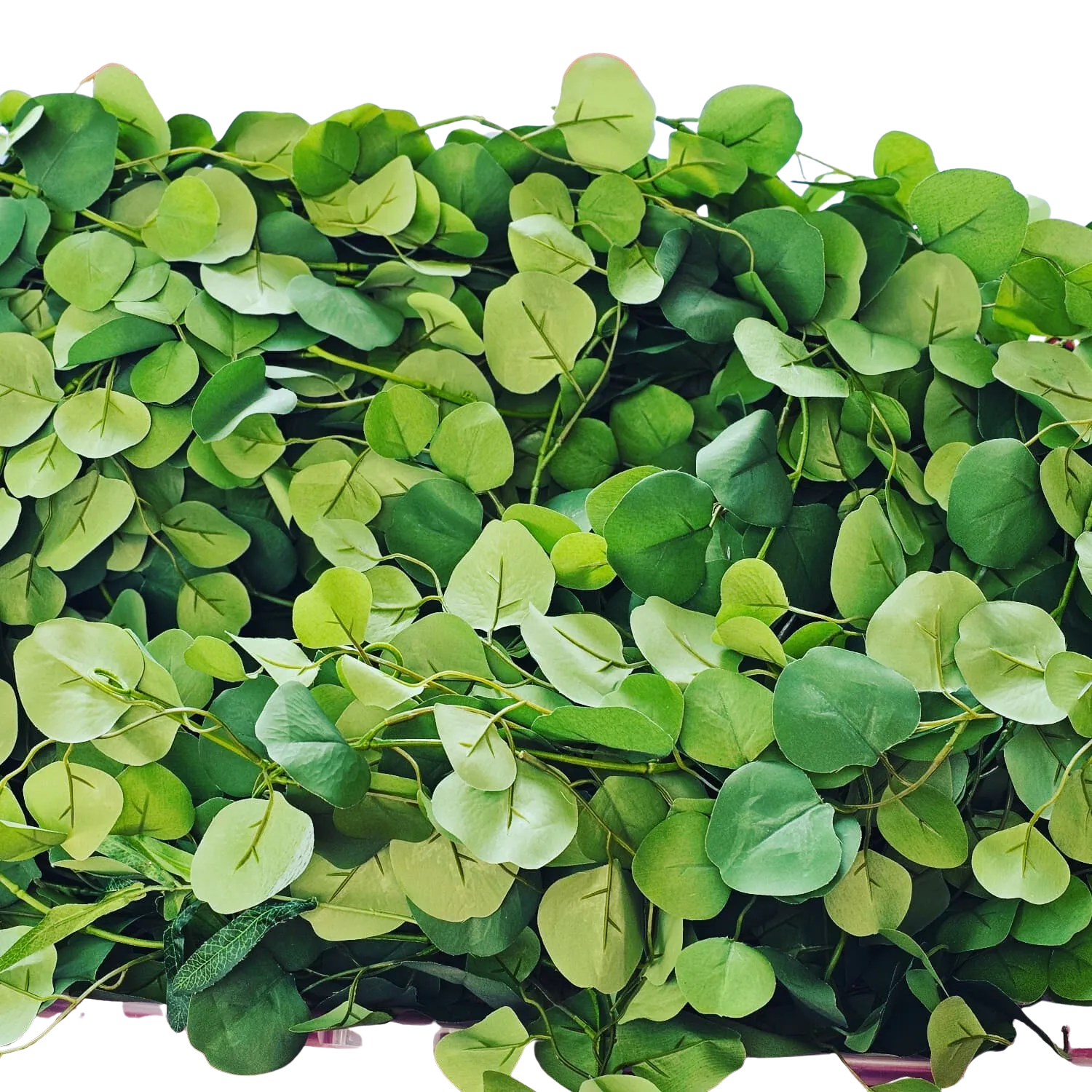 Quality 8' Eucalyptus Vines 