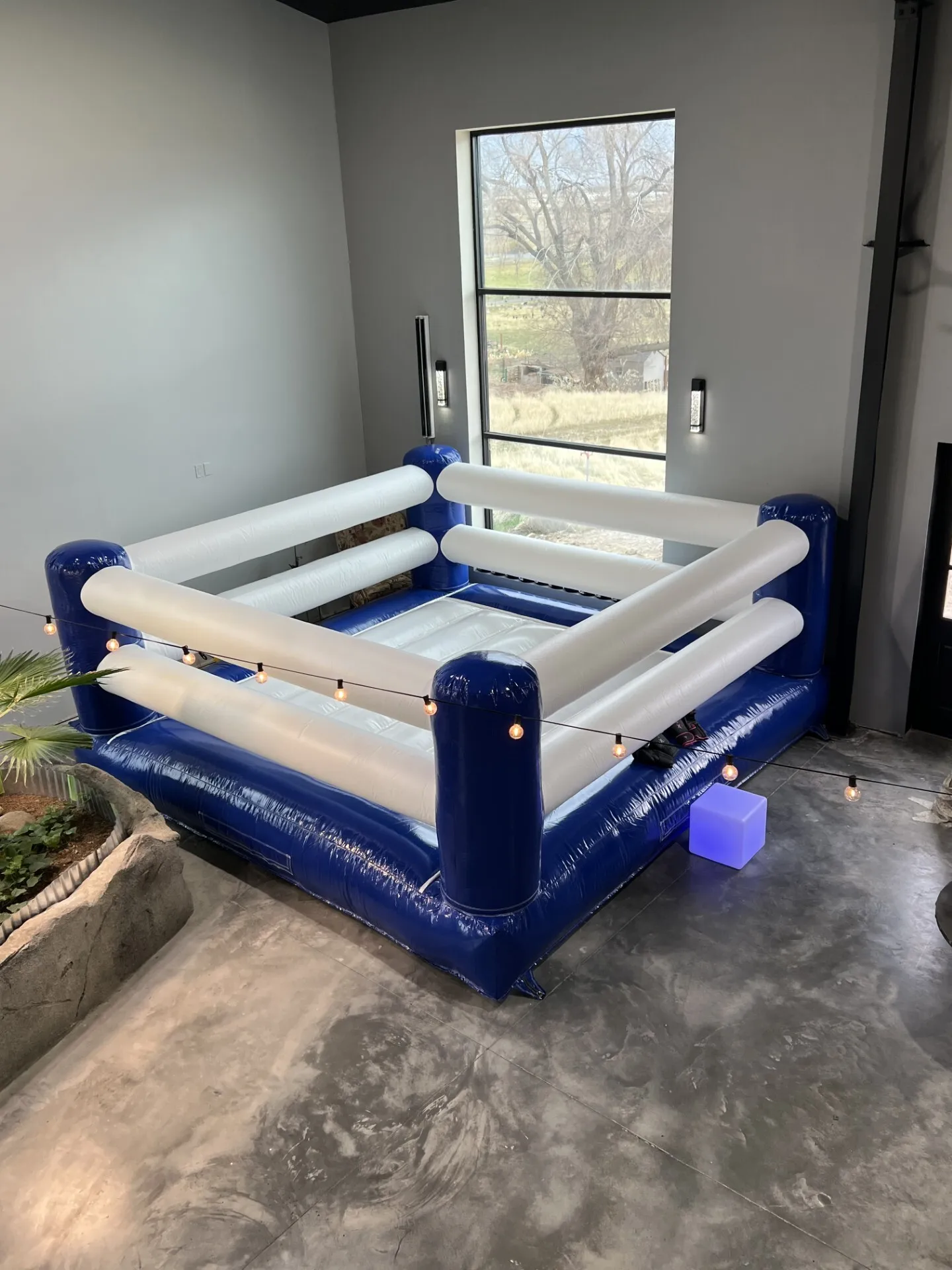 Boxing/Wrestling Ring