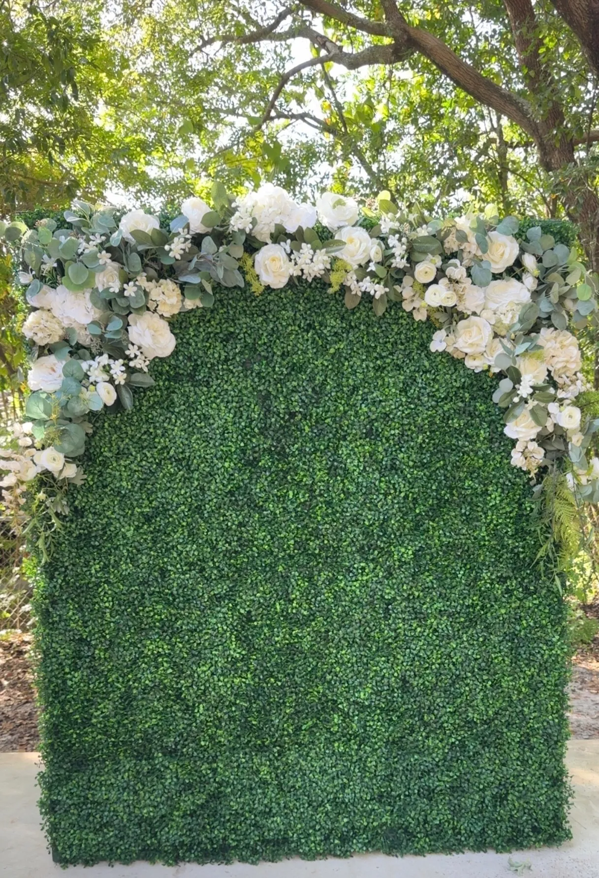 Arches and Backdrops