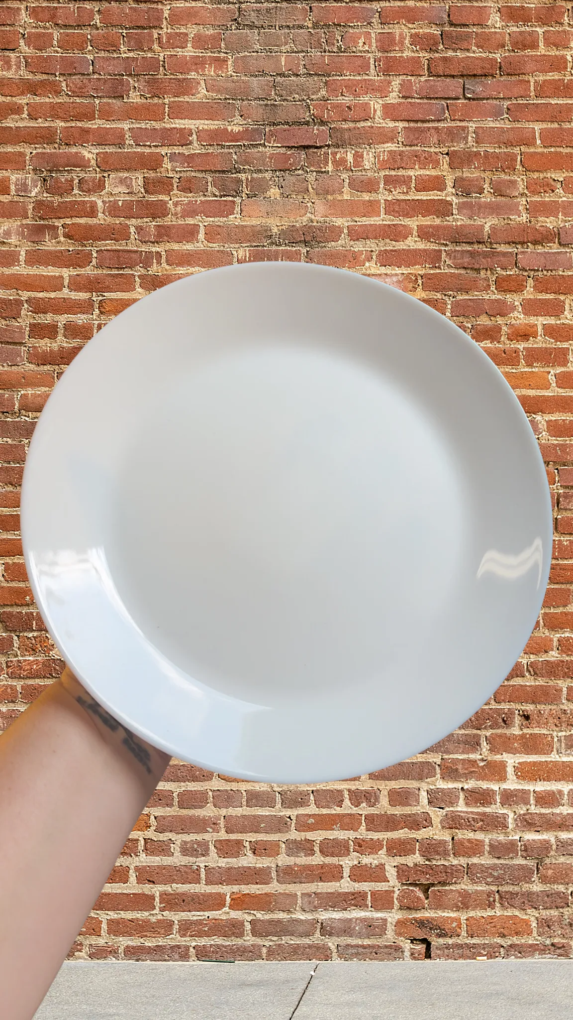 White Dinner Plate