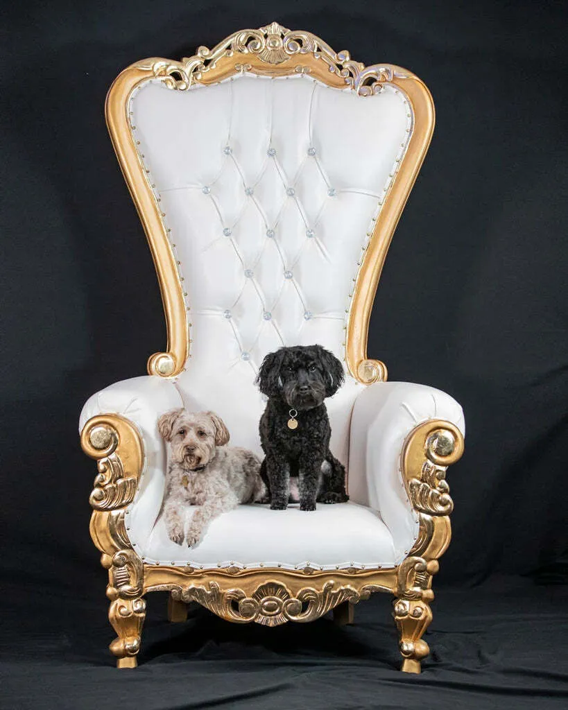 Throne Chair 70' OG Gold