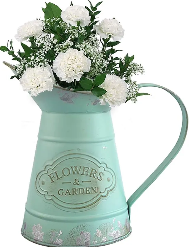 HyFanStr French Style Mini Metal Vases for Flowers Rustic Pitcher Plant Garden Decor