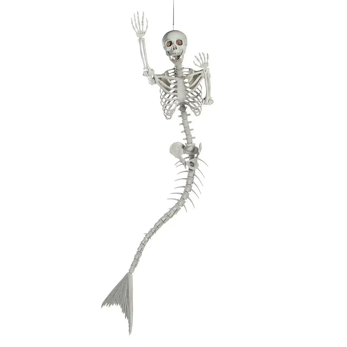 Mermaid Skeleton