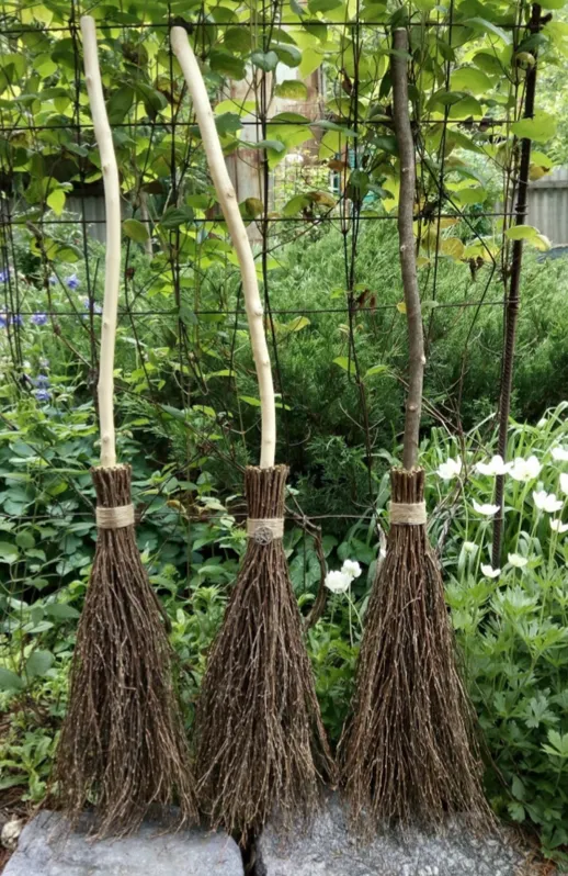 Natural Witch Broom
