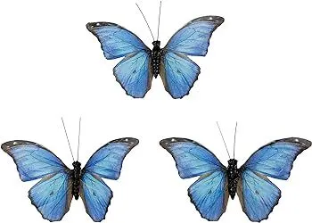 30 Berfutall-Morpho  Butterfly Feather