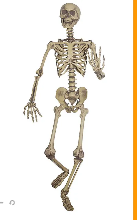 Skeleton with White Eye Sockets