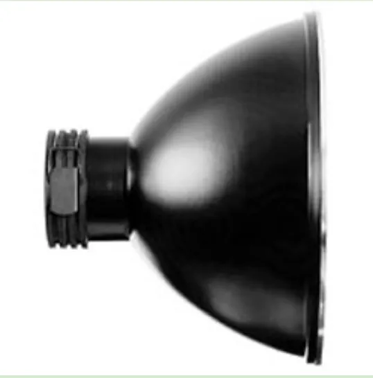 Profoto 50 Degree Magnum Reflector