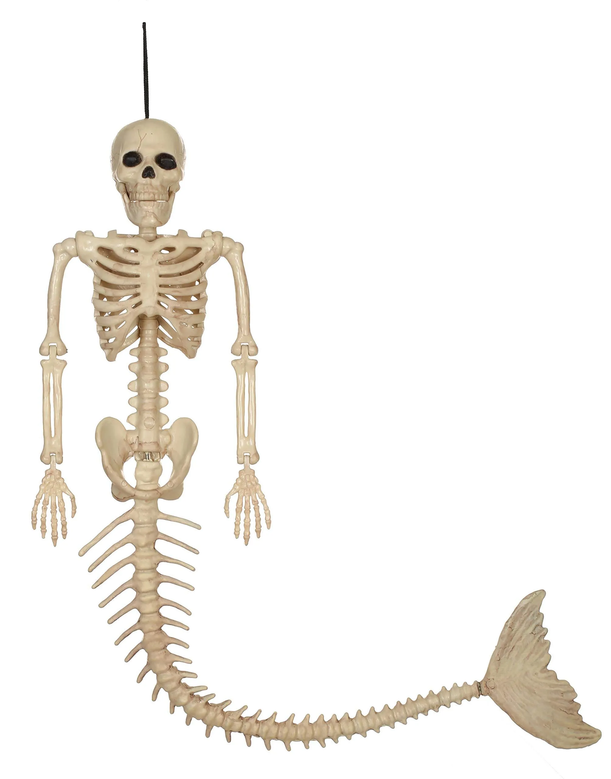 Mermaid Skeleton