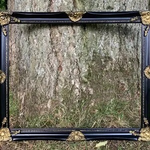 Black and Gold Frame 