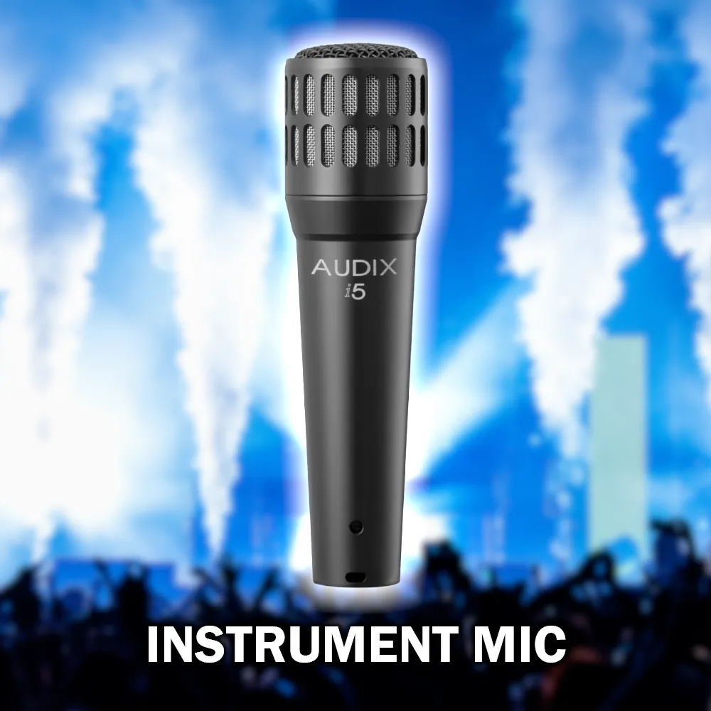 Instrument Microphone