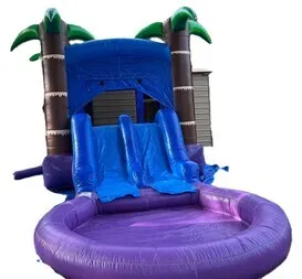 Bounce House Water Slide With Pool