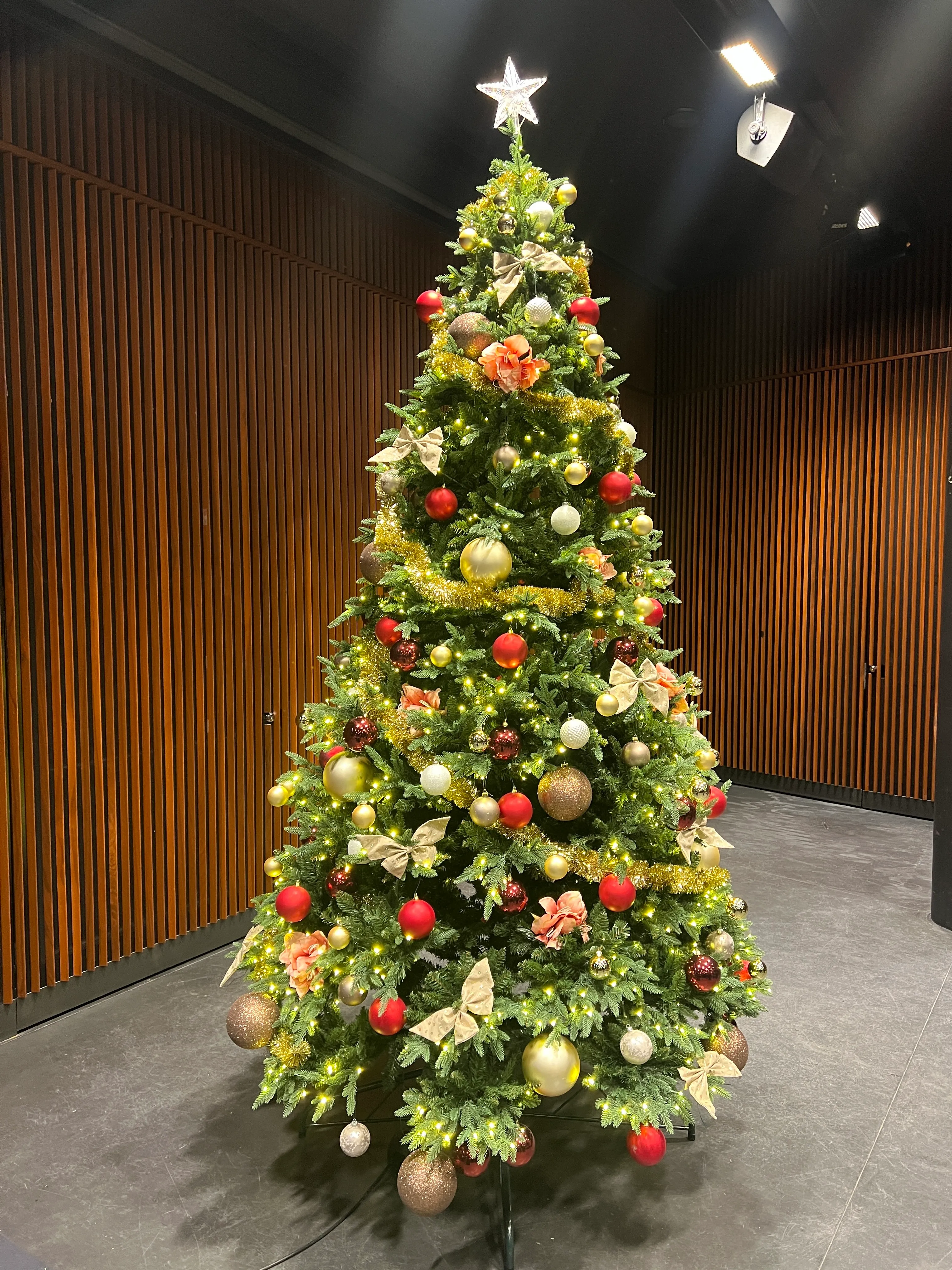 Dekorering av juletre – Premium pakke