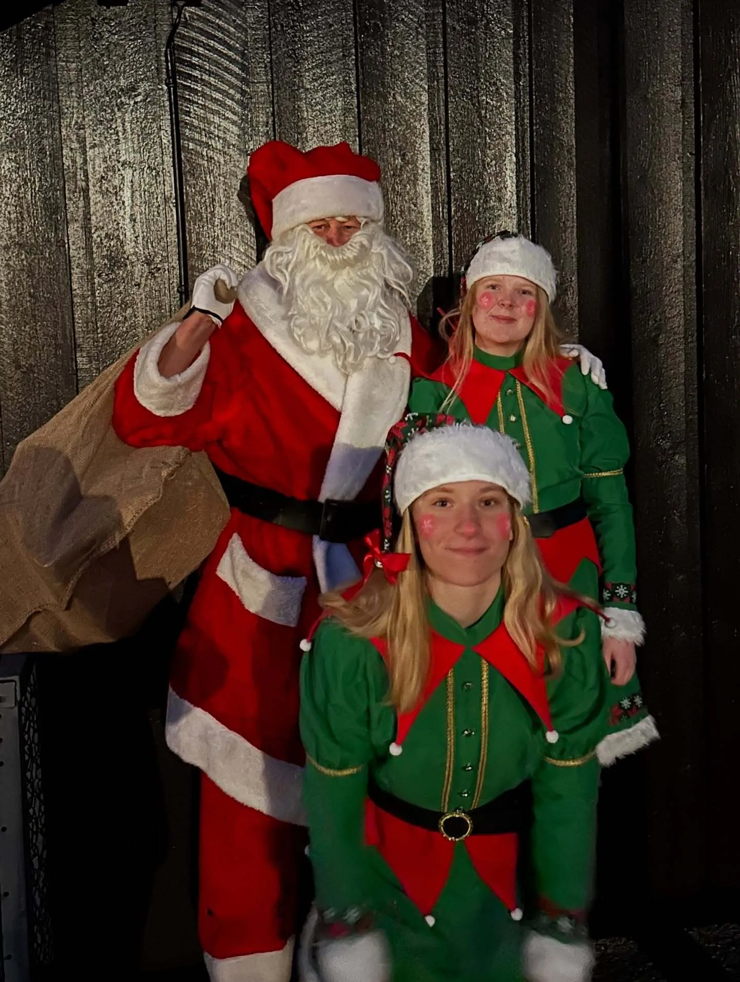 Nissens hjelper – alv