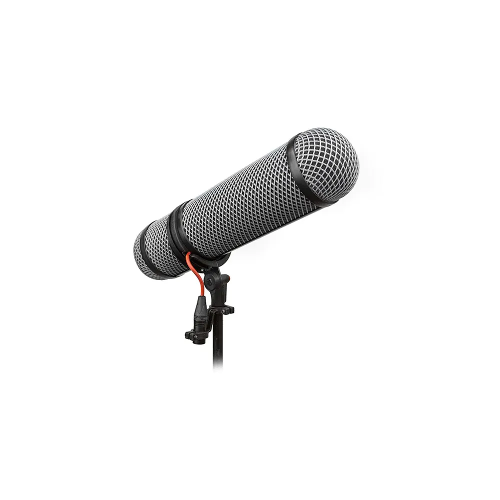 Audio