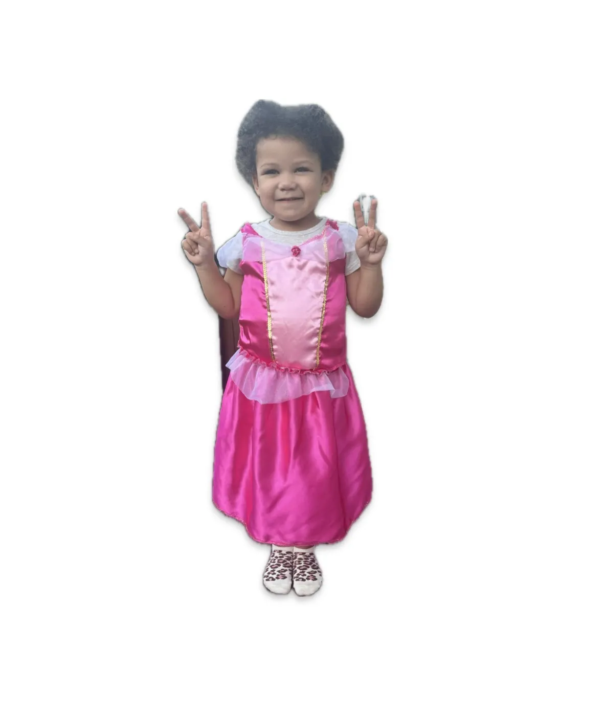 Sleeping Beauty Costume - Two Piece - Size 4-6X