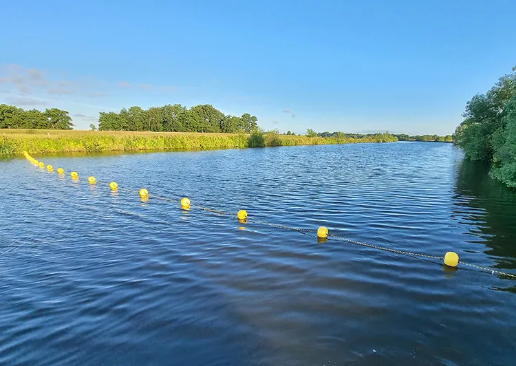 Gele ballenlijn 50 meter