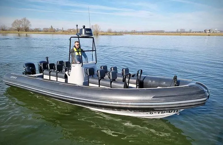 SB17 - Gemini WR780 2x 150pk