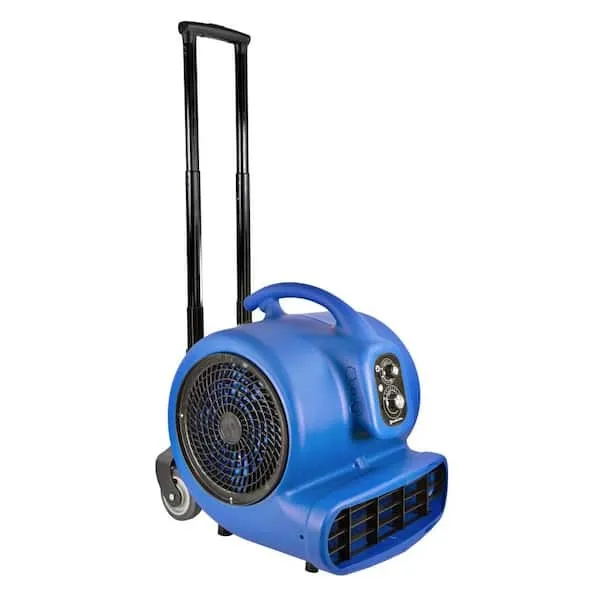 Carpet Blower