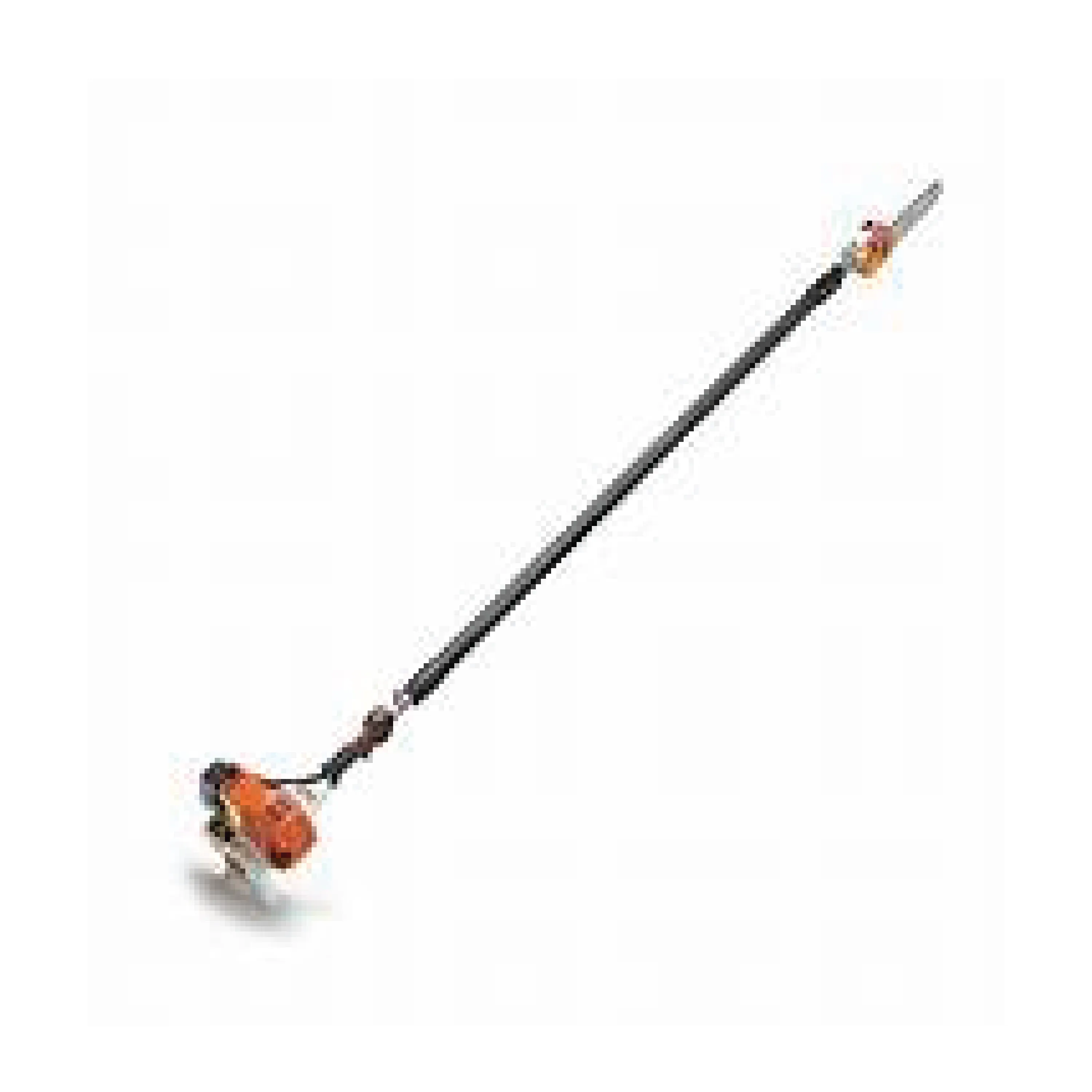 Pole Saw 5m - petrol