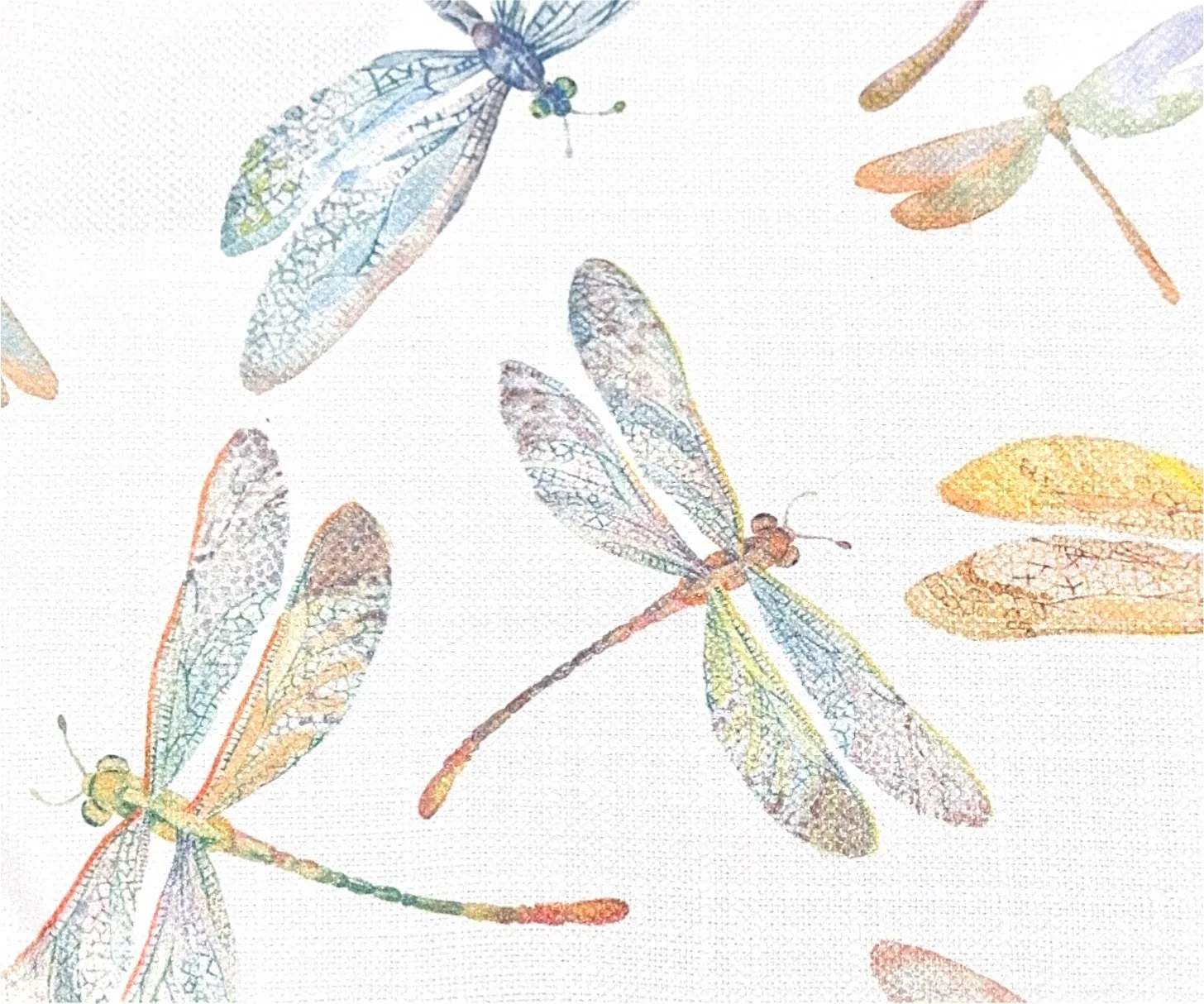 Dragonfly Print
