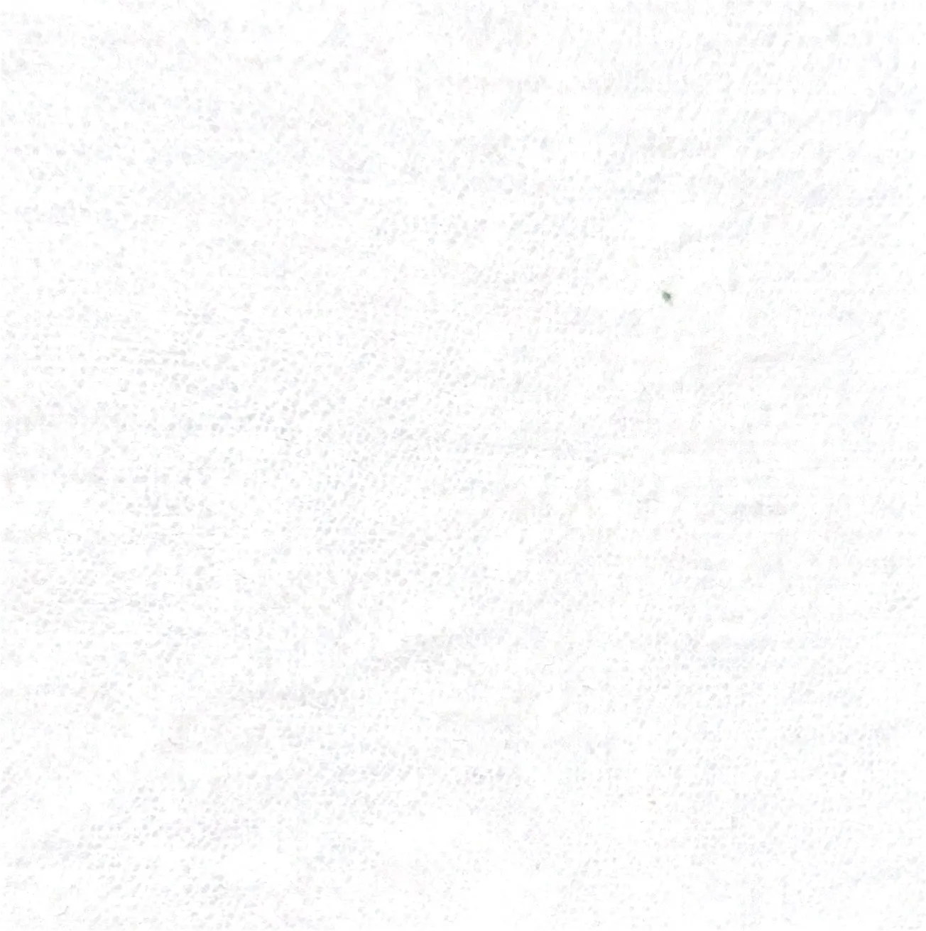 White Chenille Tablecloth