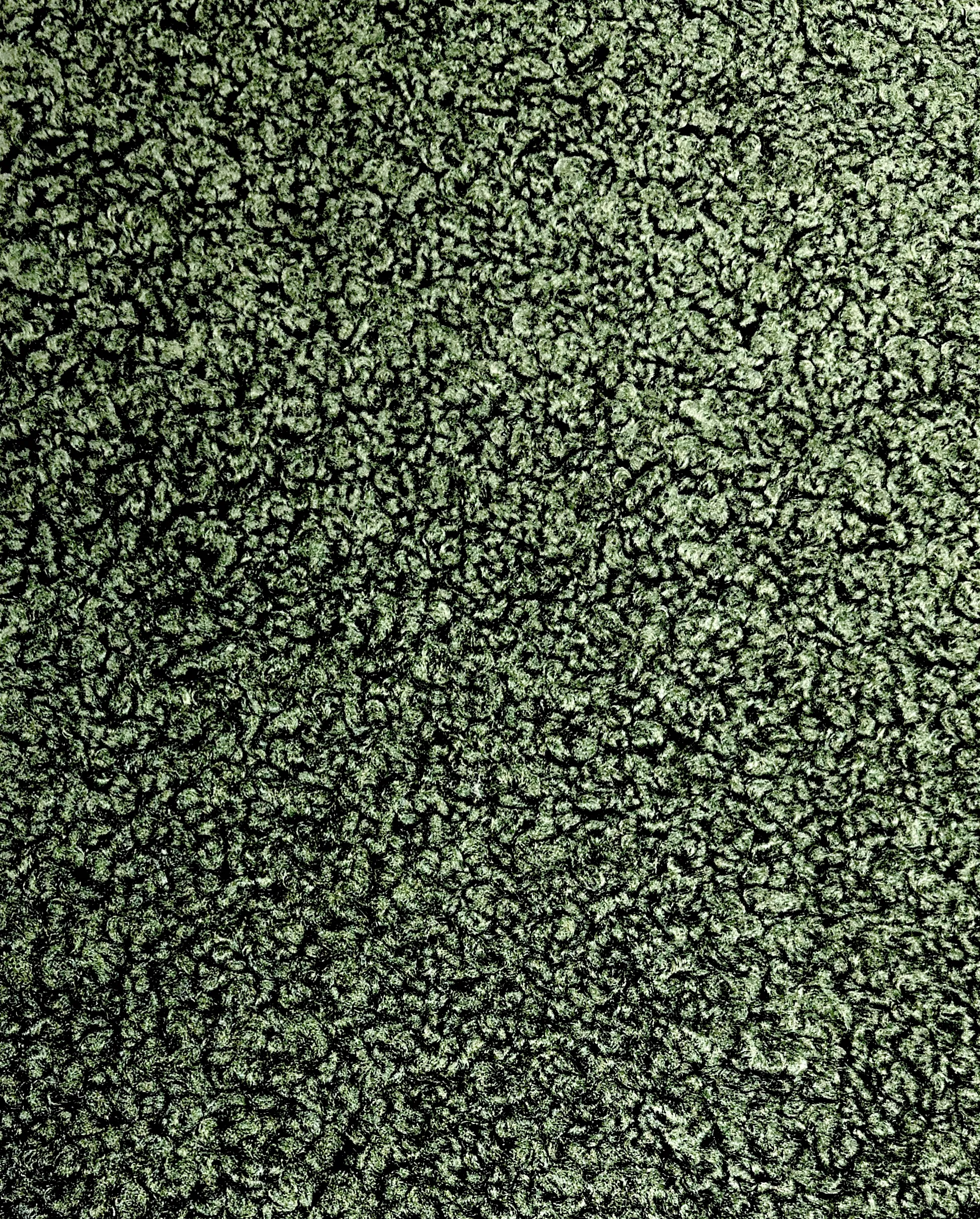 Sherpa Forest Tablecloth