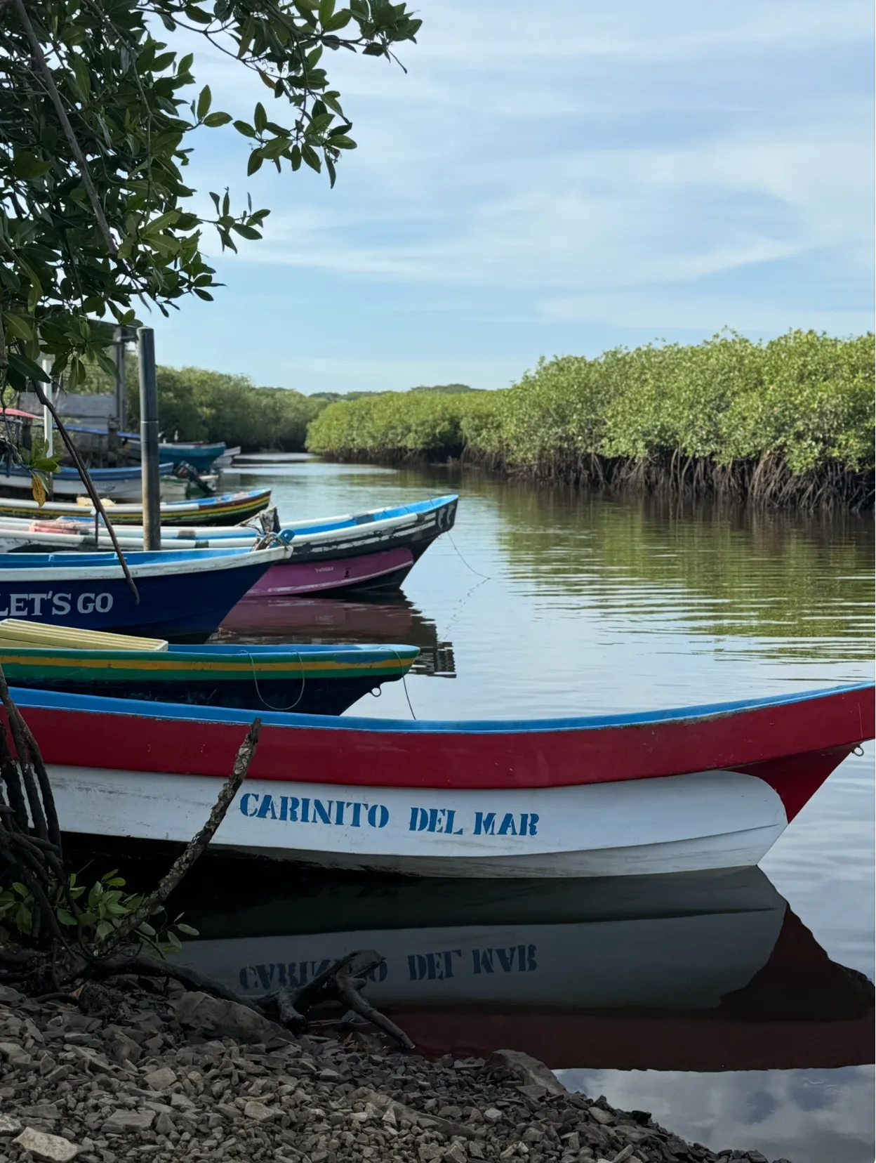 Panga Boat Trip - Surfing