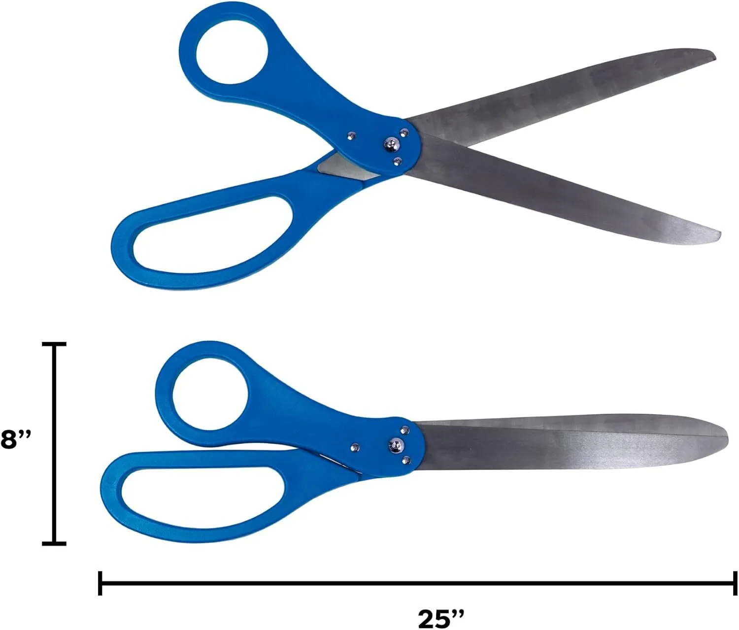 Blue Giant Scissors 