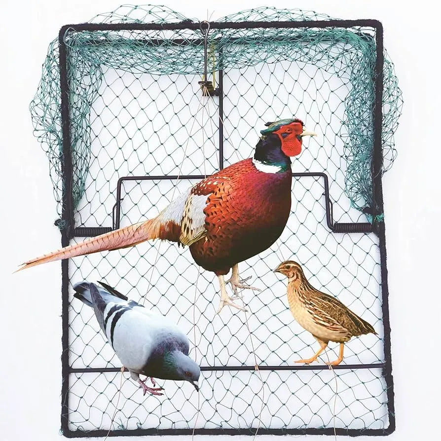 Pigeon Bird Trap Trapping Hunting Quail Cage
