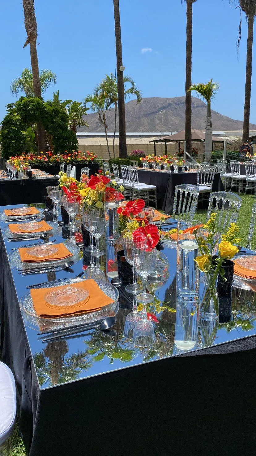 ATRE107 ESPEJO MESA MADERA RECTANGULAR 240X105CM (1 PIEZA)