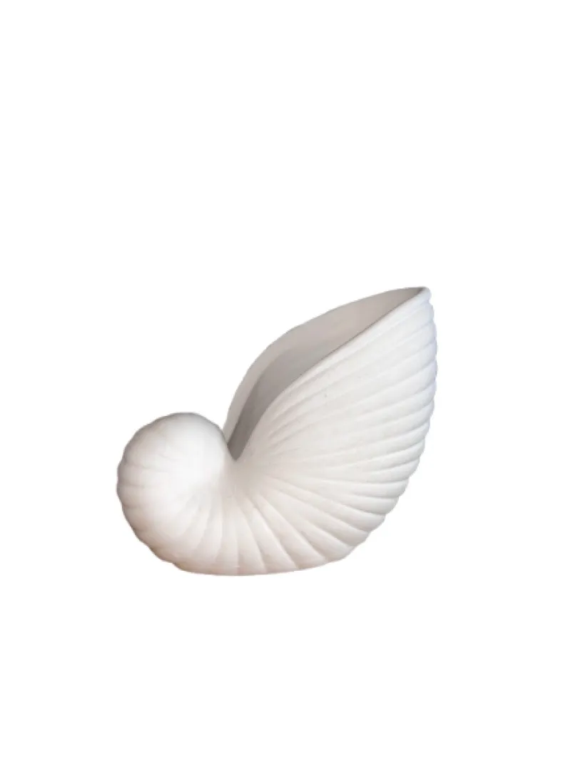 ATRE325 CONCHA PEQUEÑA