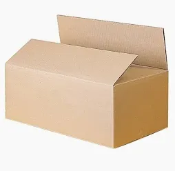 CAJA DE CARTON