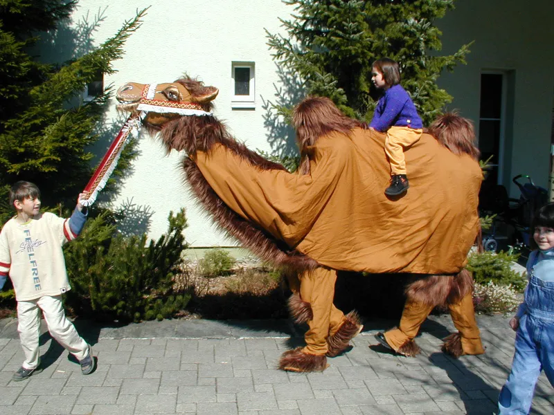 Kamel gross zwei Personen