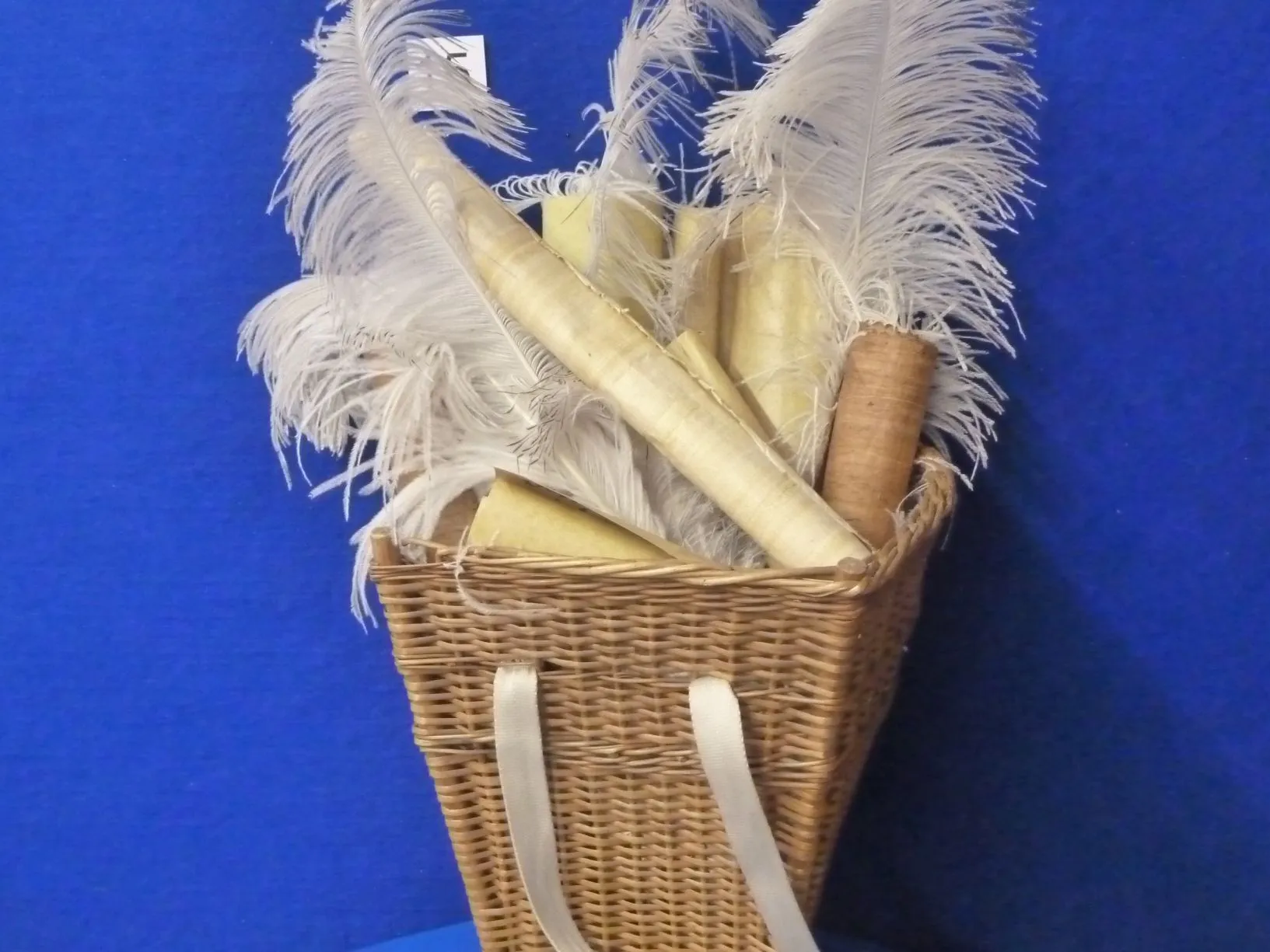 Federn für Schriftrollen 